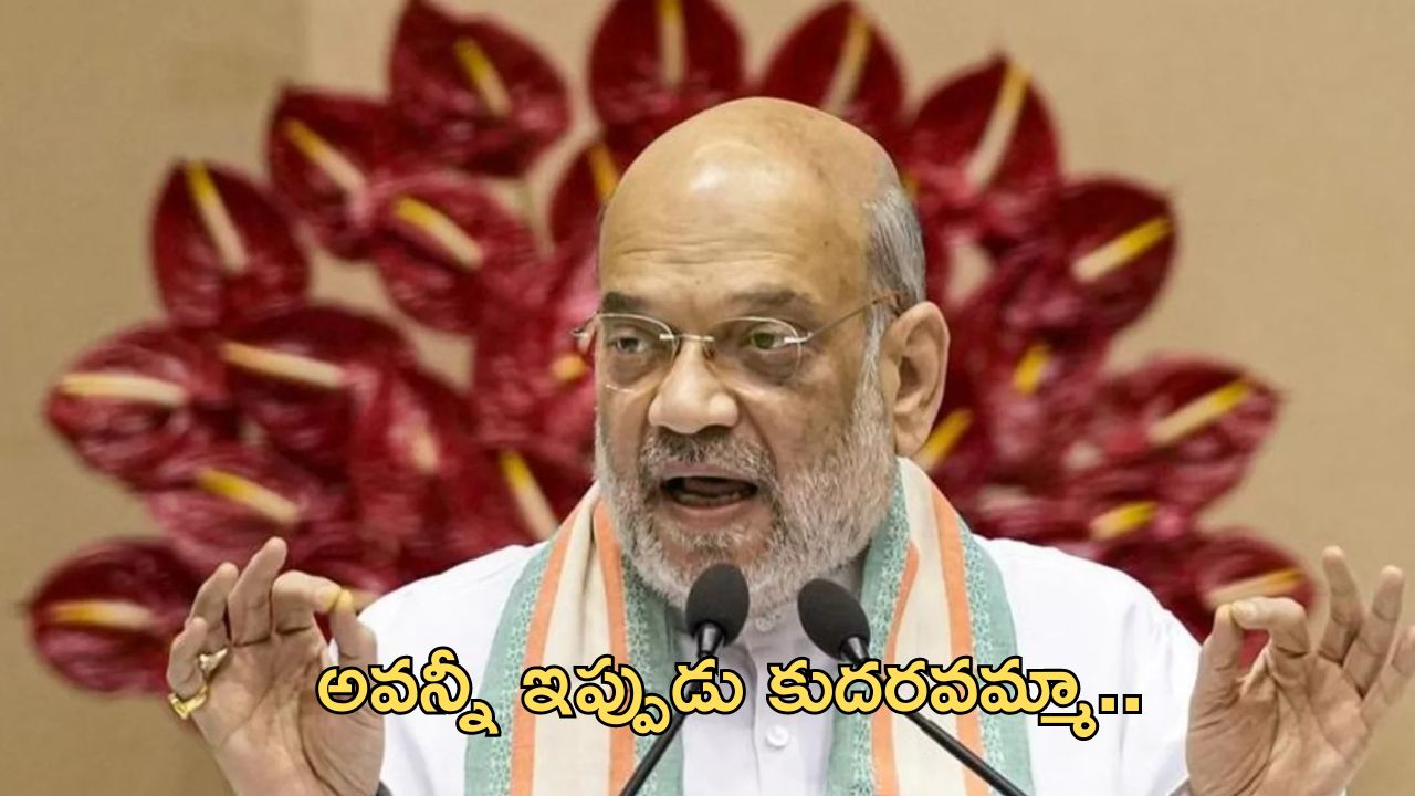 Amit Shah: మేము ఉన్నంత వరకూ.. దానిని టచ్ కూడా చేయలేరు : రాహుల్ వ్యాఖ్యలపై అమిత్ షా స్పందన