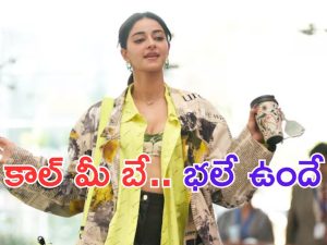 Call Me Bae Review: లైగర్ బ్యూటీ మొట్ట మొదటి వెబ్ సిరీస్.. ఎలా ఉందంటే.. ?