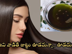 Hair Growth Tips: ఇవి వాడితే చాలు జుట్టు ఊడమన్నా.. ఊడదు