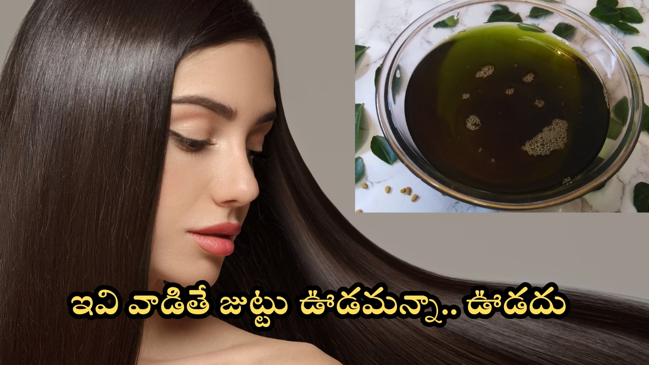 Hair Growth Tips: ఇవి వాడితే చాలు జుట్టు ఊడమన్నా.. ఊడదు