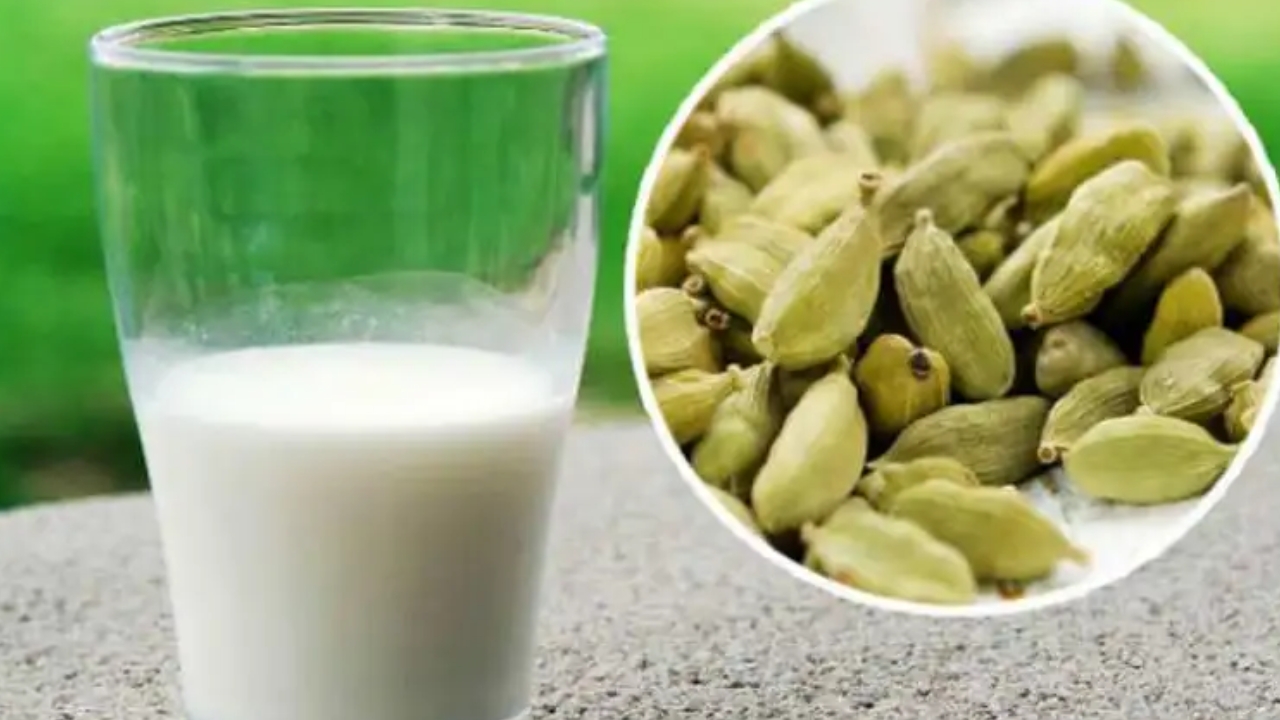 Cardamom Milk Benefits: ఈ పాలు తాగితే ఆరోగ్యానికి అద్భుతమైన ప్రయోజనాలు.. తెలిస్తే అస్సలు వదలరు