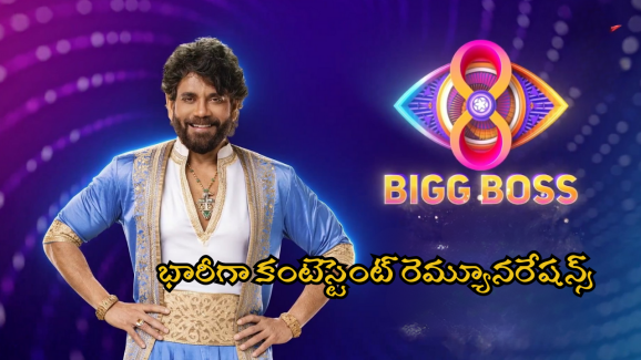 Bigg Boss 8 Telugu: బిగ్ బాస్ సీజన్ 8లో కంటెస్టెంట్స్ రెమ్యూనరేషన్ ఎంతో తెలుసా? ఆ హాట్ బ్యూటీకే హయ్యెస్ట్!