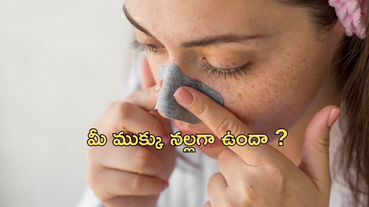 Black Nose: ముక్కు నల్లగా మారిపోయిందా? అయితే మీకు ఆ వ్యాధి వచ్చినట్టే, జాగ్రత్త పడండి