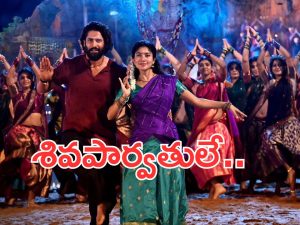 Tandel: ఈ జంటను చూస్తుంటే శివపార్వతులే కిందకు దిగి వచ్చినట్టుందే..