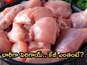 Chicken Rates: మాంసం ప్రియులకు బ్యాడ్ న్యూస్.. భారీగా పెరిగిన చికెన్ ధరలు!