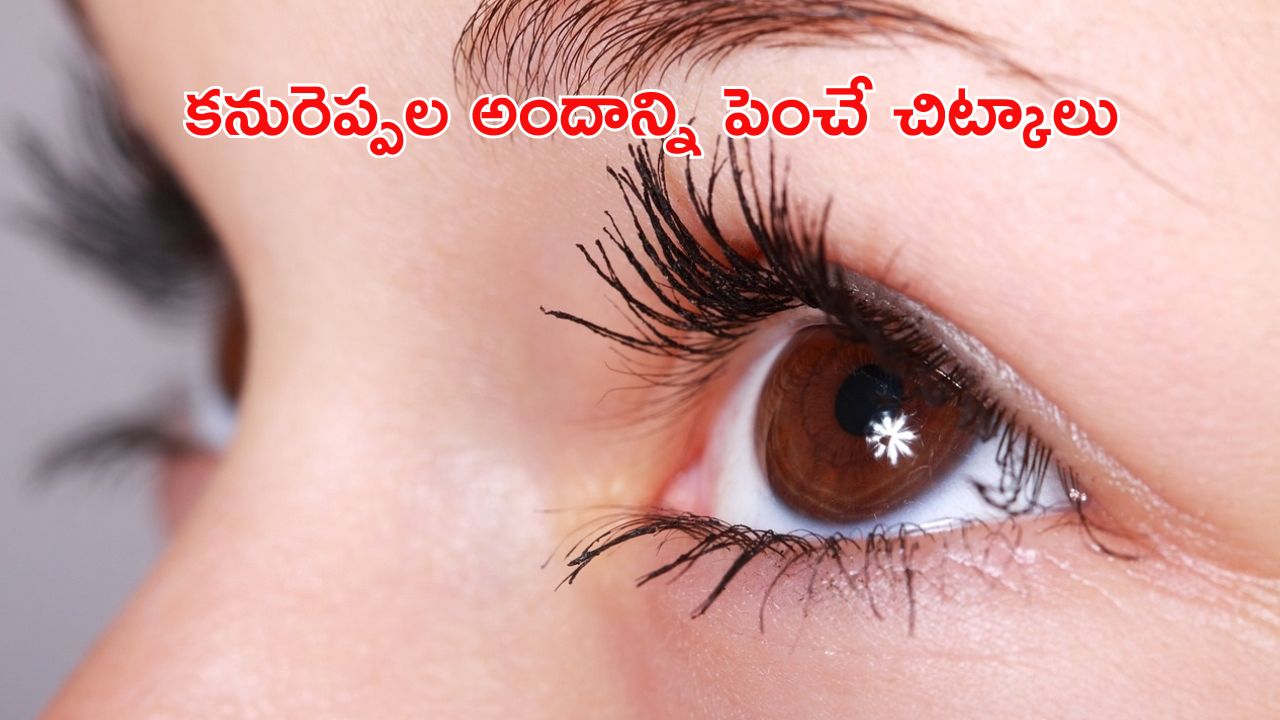 Beauty tips: కనురెప్పల వెంట్రుకలు దట్టంగా పెరిగితేనే అందం, ఇందుకోసం మీరు ఇంట్లోనే ఈ చిన్న చిట్కాలను పాటించండి