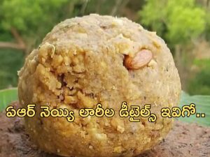 Tirumala Laddu Issue: ఏఆర్ డెయిరీ లారీ వివరాలు విడుదల.. ఎంతకి దిగజారావ్ జగన్ : టీడీపీ ఫైర్