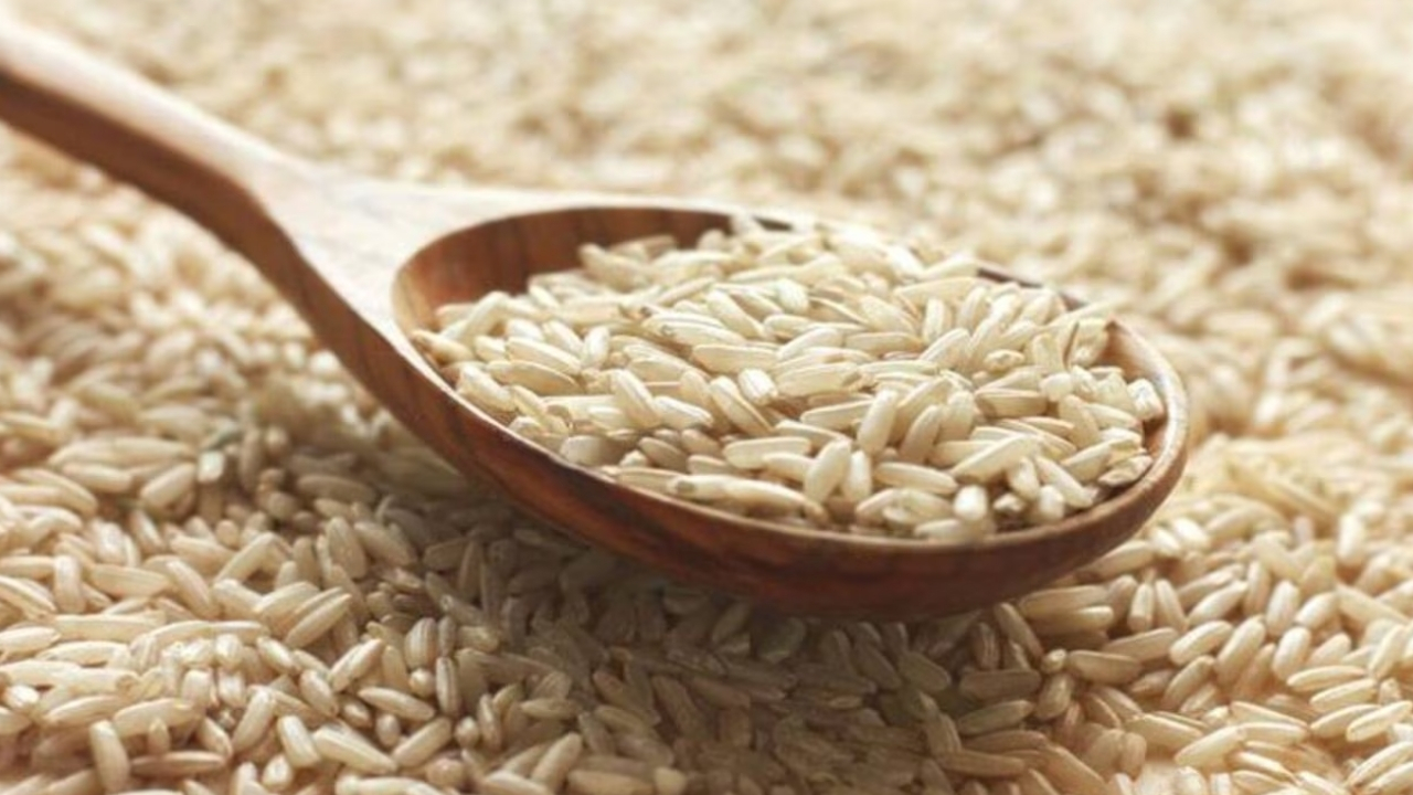 Brown Rice: బ్రౌన్ రైస్ తింటే నిజంగానే షుగర్ కంట్రోల్‌ చేసుకోవచ్చా..?