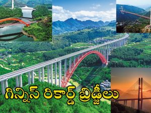 World’s Tallest Bridges Guizhou: ప్రపంచంలోనే 100 ఎత్తైన వంతెనల్లో 49 ఒకే రాష్ట్రంలో.. ప్రకృతి ఒడిలో ఈ అందమైన బ్రిడ్జిలు ఒక్కసారైనా చూడాలి!