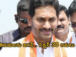 YS Jagan: టెన్షన్ టెన్షన్..  తిరుమలకు జగన్.. పోలీస్ యాక్ట్ సెక్షన్ 30!