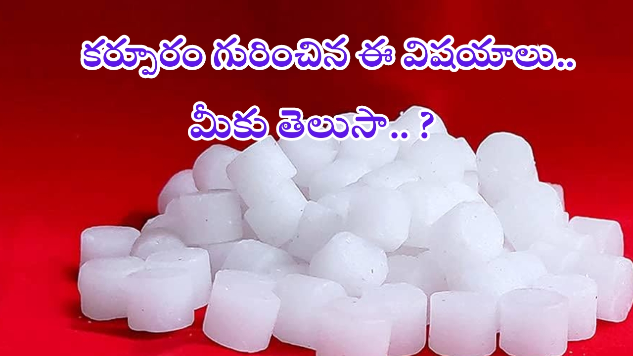 Camphor Benefits: కర్పూరం గురించిన ఈ విషయాలు మీకు తెలుసా ?