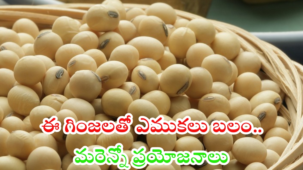 Soybeans Benefits: ఈ గింజలతో ఎముకలకు బలం !