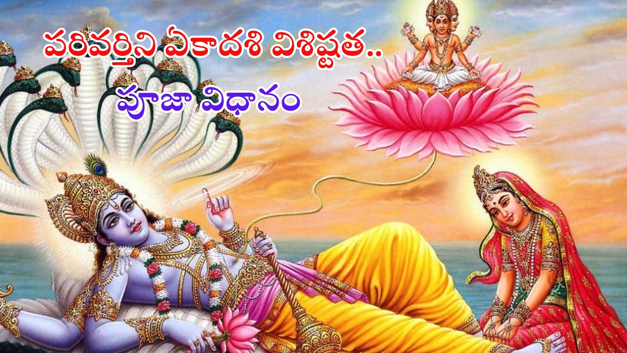 Parivartini Ekadashi 2024: పరివర్తిని ఏకాదశి  రోజు ఇలా చేస్తే అష్టైశ్వర్యాలు సిద్ధిస్తాయి