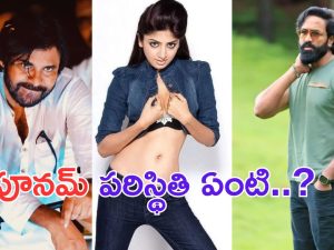 Manchu Vishnu: పవన్ కు సపోర్ట్ సరే.. పూనమ్ ఇచ్చిన ఫిర్యాదు సంగతేంటీ.. ప్రెసిడెంట్ గారు  ?