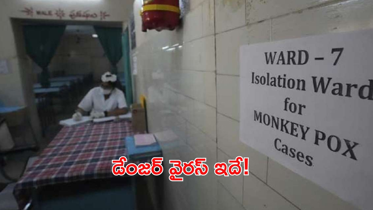 Monkeypox Virus: డేంజర్ బెల్స్.. మరో మంకీపాక్స్‌ కేసు.. ఎమర్జెనీకి దారితీసిన వైరస్ ఇదే!