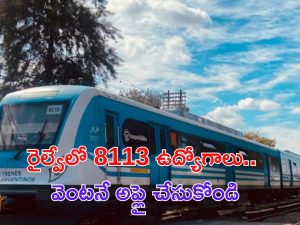 RRB NTPC Jobs: డిగ్రీ అర్హతతో.. రైల్వేలో 8,113 ఉద్యోగాలు