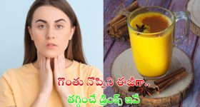 Throat Infection: గొంతు నొప్పిని ఈజీగా తగ్గించే డ్రింక్స్ ఇవే..