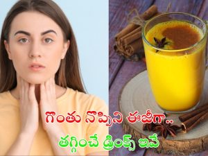 Throat Infection: గొంతు నొప్పిని ఈజీగా తగ్గించే డ్రింక్స్ ఇవే..