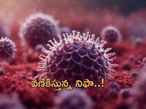 Nipah virus: కేరళలో నిఫా వైరస్ విజృంభణ.. స్టూడెంట్ మృతి.. రాష్ట్రంలో ఆంక్షలు!