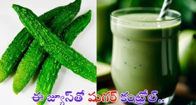 Bitter Gourd Juice For Diabetes: కాకరకాయ జ్యూస్‌తో షుగర్ కంట్రోల్.. మరెన్నో లాభాలు