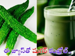 Bitter Gourd Juice For Diabetes: కాకరకాయ జ్యూస్‌తో షుగర్ కంట్రోల్.. మరెన్నో లాభాలు