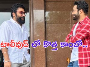 NTR: అసలు సిసలు అనిమల్ తో ఎన్టీఆర్.. ఈ కాంబో సెట్ అయితే నా సామీ రంగా..