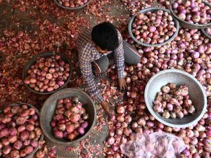 Onion Prices: సామాన్యులకు బిగ్ షాక్.. అమాంతం పెరిగిన ఉల్లి ధరలు.. ఎంతంటే?