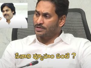 Kutami Strategy: ఎన్నికల ప్రచారంలో పవన్ చేసిన ఛాలెంజ్ నిజమవుతోందా ? సీనియర్లు ఏమంటున్నారు ?