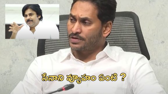 Kutami Strategy: ఎన్నికల ప్రచారంలో పవన్ చేసిన ఛాలెంజ్ నిజమవుతోందా ? సీనియర్లు ఏమంటున్నారు ?