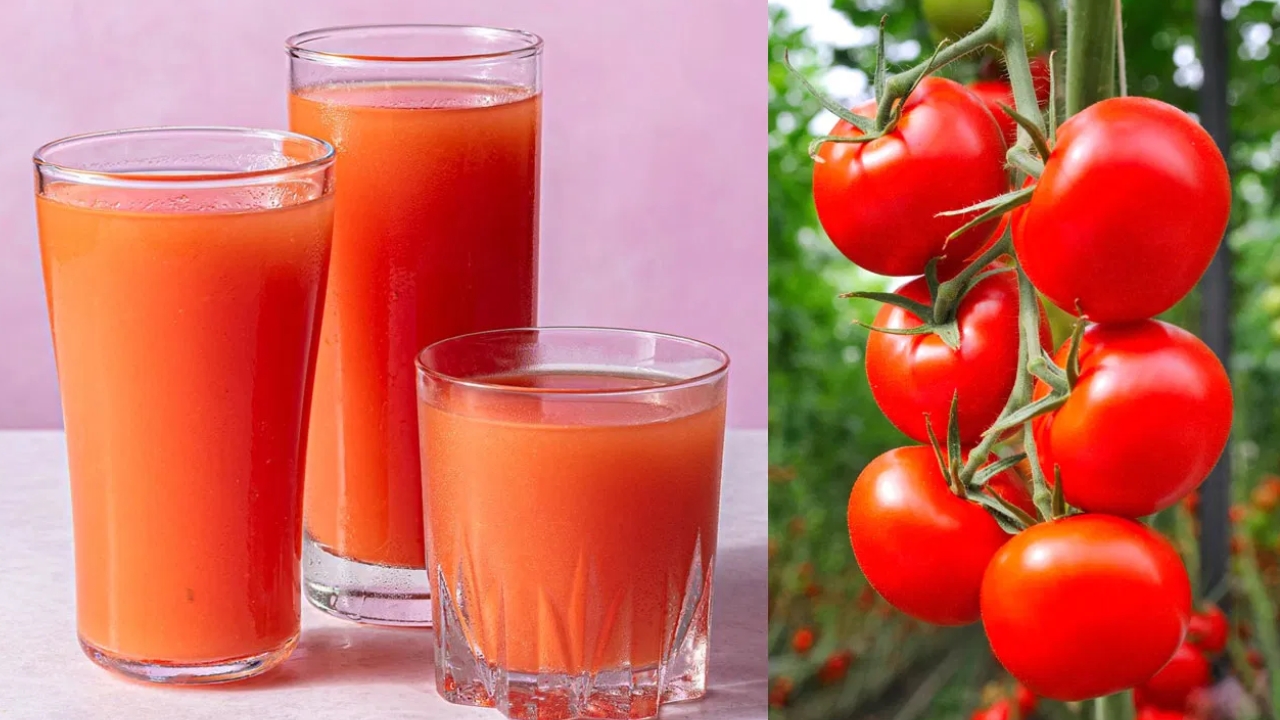 Tomato Juice: టమాటా రసం తాగితే ఒంట్లో కొవ్వు ఇట్టే కరిగిపోతుంది..