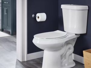 Toilet Vastu Tips: కొత్త ఇళ్లు కడుతున్నారా.. టాయిలెట్ ఈ దిశలో ఉంటే కెరీర్‌లో పురోగతి ఉండదు..