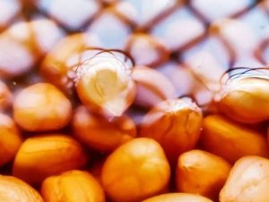 Soaked Peanuts: వీటిని తరచూ నానబెట్టుకుని తింటే బాదం కూడా పనికి రాదండోయ్..