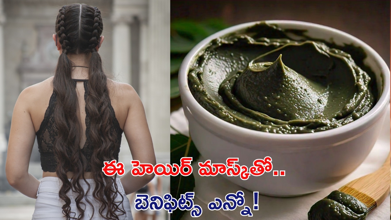 Homemade Hair Mask: జుట్టు సమస్యలన్నింటికీ ఈ హెయిర్ మాస్క్‌తో చెక్ !