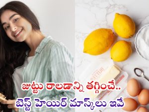 Hair Mask: ఈ హెయిర్ మాస్క్‌తో జుట్టు పెరగడం గ్యారంటీ !