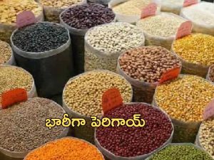 Prices Increase: భారీగా పెరిగిన ధరలు.. సామాన్యుల నడ్డి విరుస్తోన్న నిత్యావసర ధరలు!