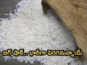  Rice Prices: సామాన్యులకు మరో షాక్.. భారీగా పెరగనున్న బియ్యం ధరలు!