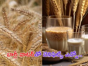 Barley Water Benefits: బార్లీ వాటర్‌తో అనారోగ్య సమస్యలు దూరం !