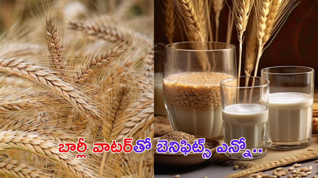 Barley Water Benefits: బార్లీ వాటర్‌తో అనారోగ్య సమస్యలు దూరం !