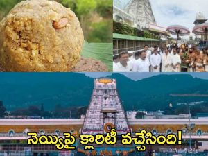 Tirumala: తిరుమల భక్తులకు గుడ్ న్యూస్.. లడ్డూ ప్రసాదాలపై అనుమానాలు వద్దు.. కల్తీ నెయ్యిపై టీటీడీ క్లారిటీ