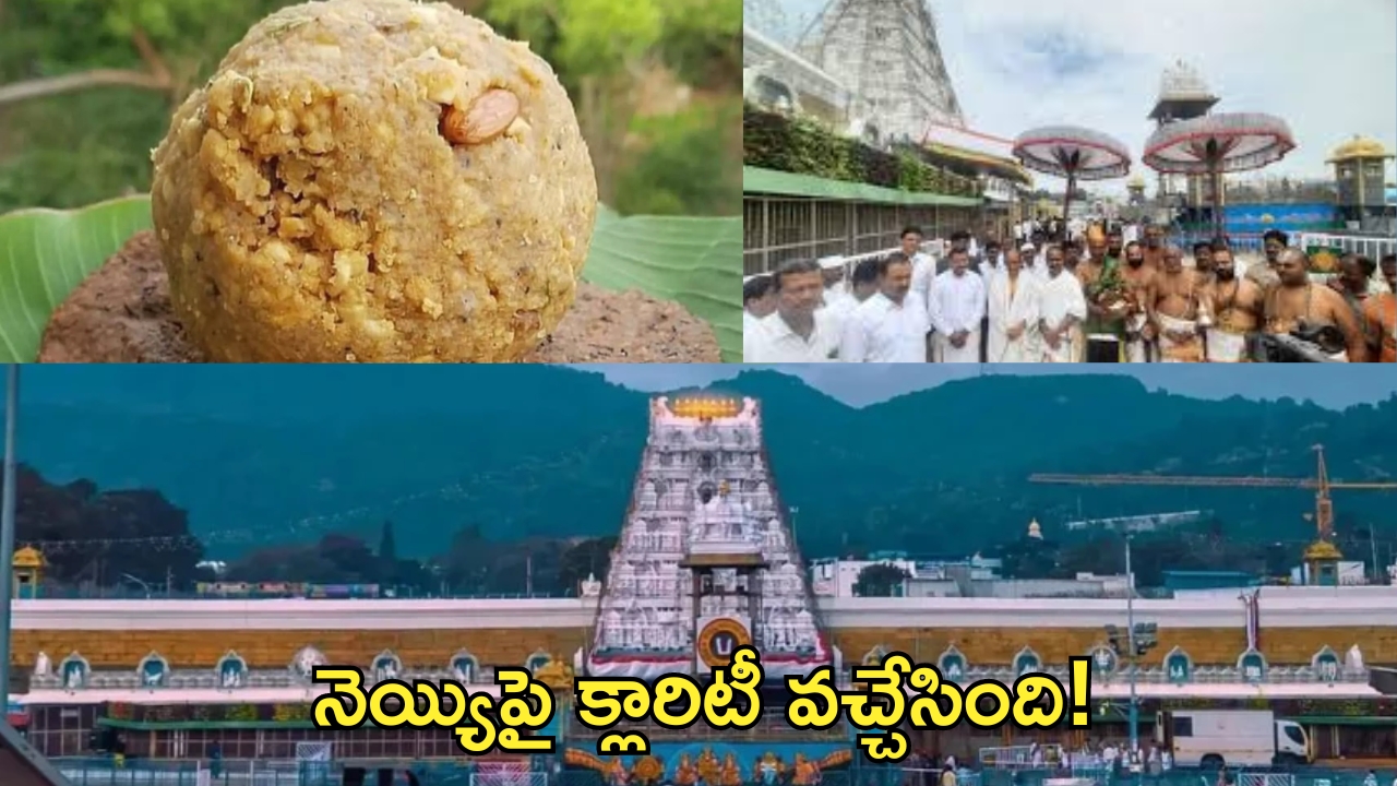 Tirumala: తిరుమల భక్తులకు గుడ్ న్యూస్.. లడ్డూ ప్రసాదాలపై అనుమానాలు వద్దు.. కల్తీ నెయ్యిపై టీటీడీ క్లారిటీ