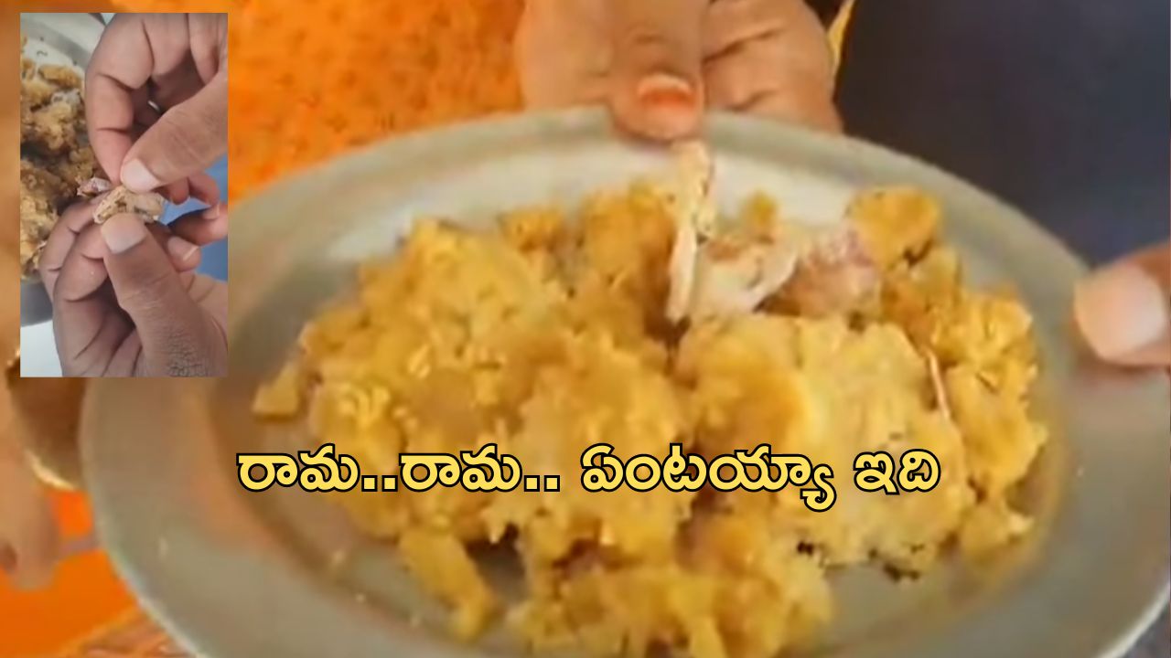 Tobacco in Laddu : మరోసారి బయటపడ్డ టీటీడీ అధికారుల నిర్లక్ష్యం.. ఈసారి కల్తీ కాదు.. ఏకంగా పొగాకే..