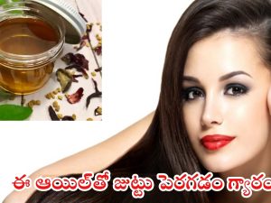 Homemade Hair Oils: ఈ ఆయిల్స్‌తో జుట్టు పెరగడం పక్కా !