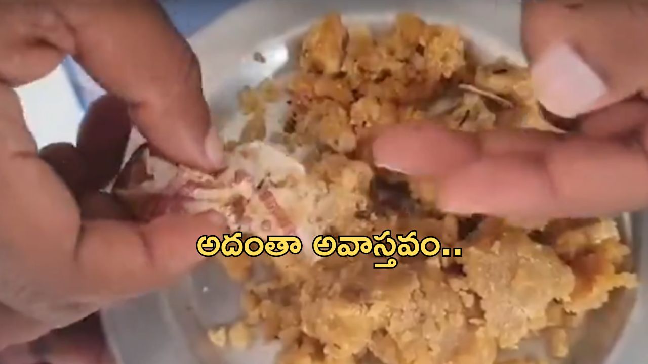 Tobacco in Laddu : మా లడ్డూలో పొగాకు లేదు.. క్లారిటీ ఇచ్చిన టీటీడీ.. ఏం జరిగింది ?