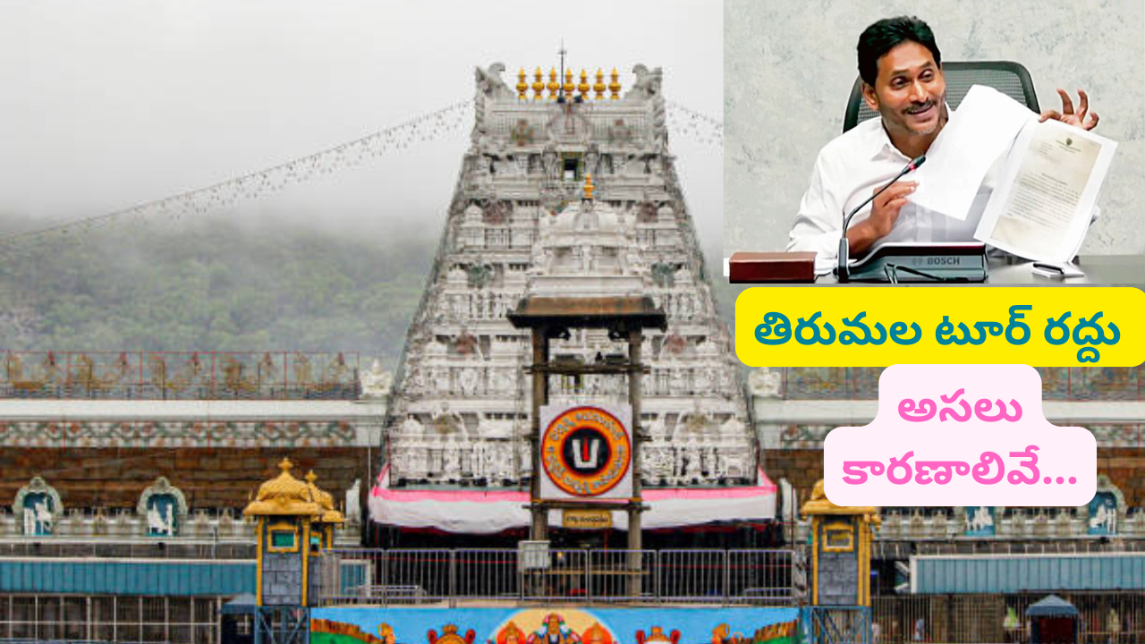 Jagan Tirumala Tour : జగన్ తిరుమల టూర్ రద్దుకు కారణాలు ఇవేనా… కూటమికి ఛాన్స్ ఇచ్చినట్టేనా ?