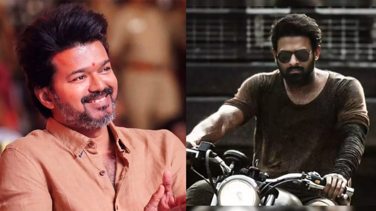 Thalapathy Vijay: విజయ్ దళపతి ఎందుకంత సీక్రెట్ గా వేరే హీరో సినిమా చూడవలసి వచ్చింది?