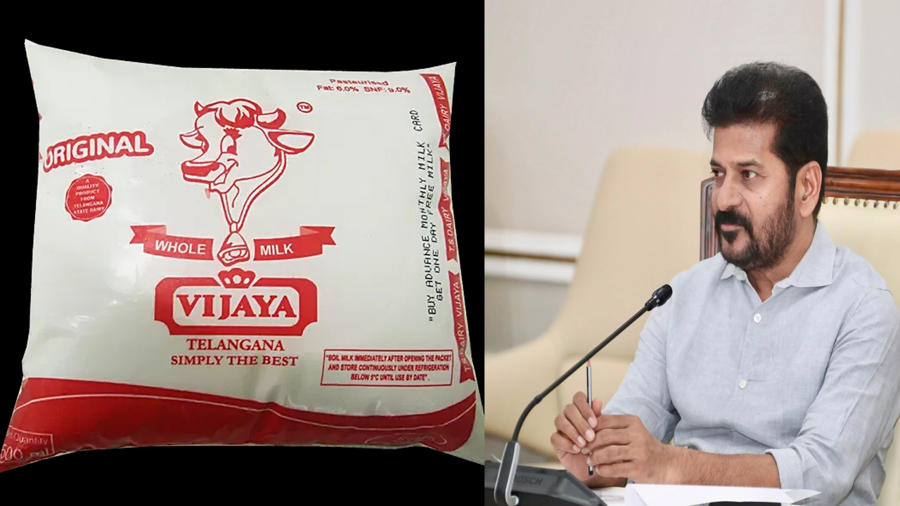 Telangana Vijaya Dairy: బిగ్ టీవీ ఎఫెక్ట్.. విజయ డెయిరీ నష్టాలపై విచారణకు సీఎం ఆదేశం