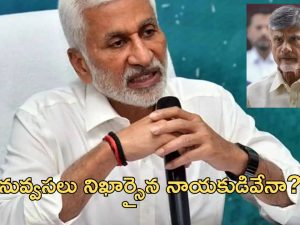 MP Vijayasai Reddy: విజయ సాయిరెడ్డి అక్రమ నిర్మాణాల కూల్చివేత.. చంద్రబాబుపై మండిపాటు