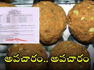 Tirupati Laddu: తిరుమల లడ్డూ ప్రసాదంలో గొడ్డు మాంసం? ఇదిగో ప్రూఫ్.. ల్యాబ్ టెస్ట్‌లో బయటపడింది ఇదే