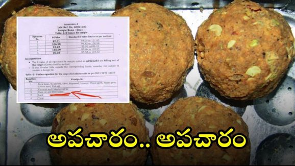 Tirupati Laddu: తిరుమల లడ్డూ ప్రసాదంలో గొడ్డు మాంసం? ఇదిగో ప్రూఫ్.. ల్యాబ్ టెస్ట్‌లో బయటపడింది ఇదే