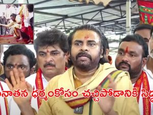 Deputy CM Pawan Kalyan: సనాతన ధర్మం జోలికి వస్తే వదిలేది లేదు.. ప్రకాష్ రాజ్ జాగ్రత్త :  పవన్ వార్నింగ్